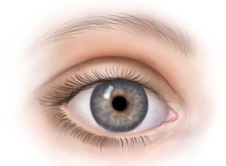 How does vitamin B affect eye health?