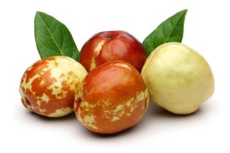 What are jujubes (zizyphus or Chinese date)